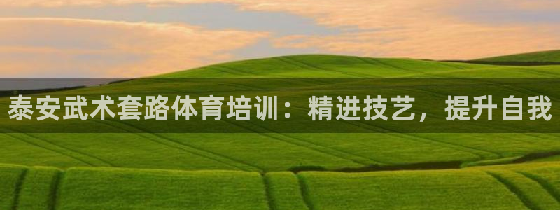 耀世娱乐app下载安装手机版：泰安武术套路体育培训：