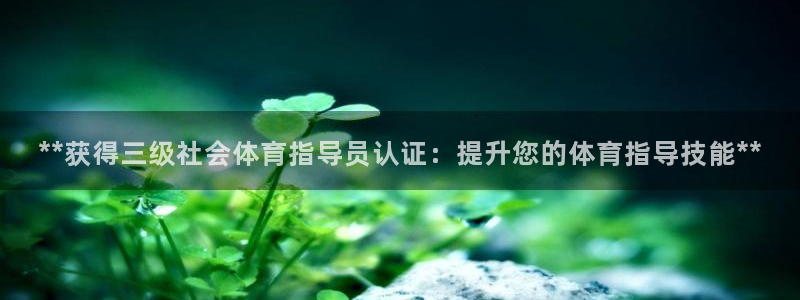 耀世平台精选 58534I 耀世：**获得三级社会体