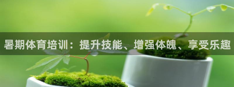 耀世娱乐是什么：暑期体育培训：提升技能、增强体魄、享