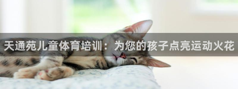 耀世平台登陆：天通苑儿童体育培训：为您的孩子点亮运动
