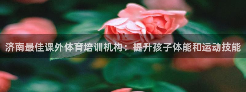 耀世集团董事长儿子：济南最佳课外体育培训机构：提升孩
