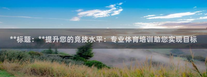 耀世娱乐老板：**标题：**提升您的竞技水平：专业体