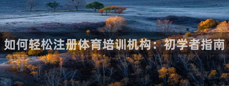 耀世平台的运营模式有哪些：如何轻松注册体育培训机构：