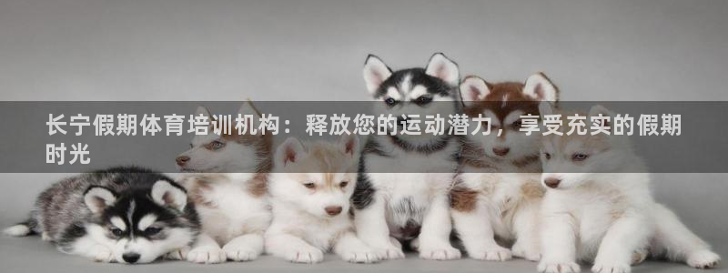 耀世平台的运营模式是什么：长宁假期体育培训机构：释放