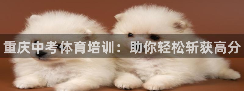 耀世娱乐脚本不死挂机能玩吗：重庆中考体育培训：助你轻