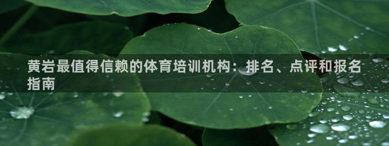 耀世微光下载：黄岩最值得信赖的体育培训机构：排名、点