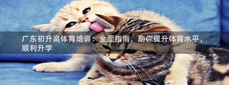 耀世官方网站入口：广东初升高体育培训：全面指南，助你