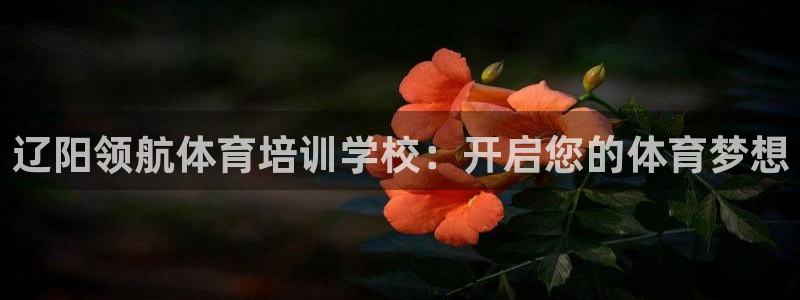 耀世x4：辽阳领航体育培训学校：开启您的体育梦想