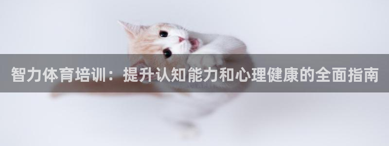 耀世登场下一句：智力体育培训：提升认知能力和心理健康