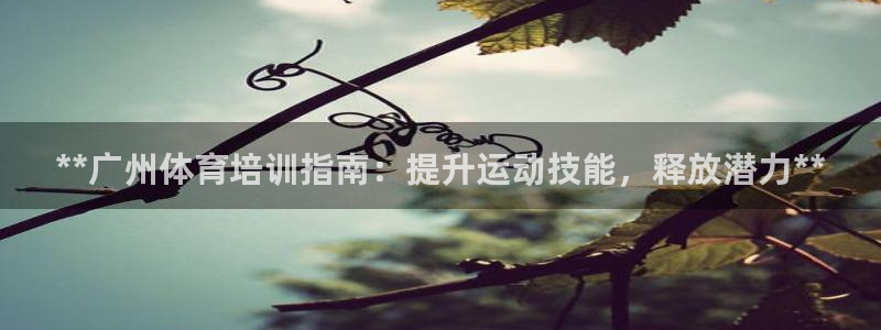 耀世平台有很多登录地址吗：**广州体育培训指南：提升