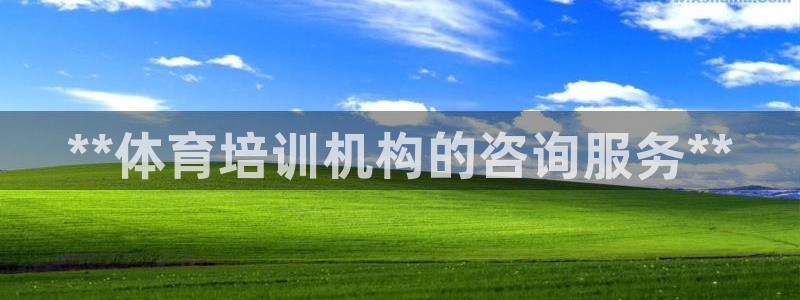 耀世国际平台正规吗安全吗可信吗：**体育培训机构的咨