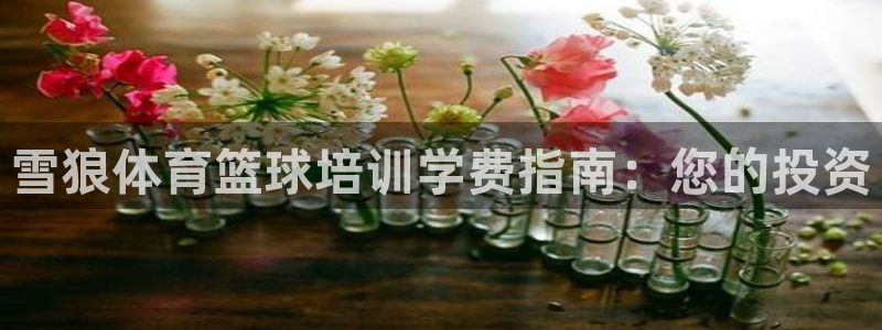 耀世平台主管代理：雪狼体育篮球培训学费指南：您的投资