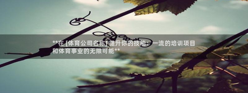 耀世娱乐官网网站下载