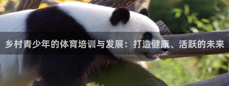 耀世集团视频直播在哪看：乡村青少年的体育培训与发展：