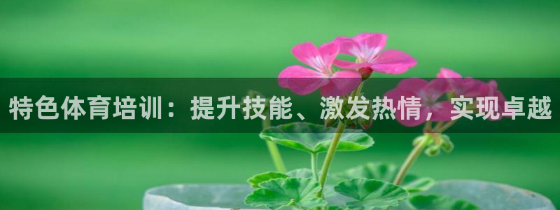 耀世天下网名好吗：特色体育培训：提升技能、激发热情，