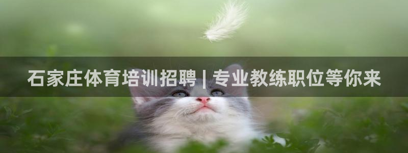 耀世娱乐是什么意思啊：石家庄体育培训招聘 | 专业教