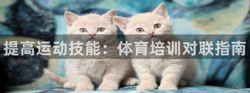 耀世国际集团是国企吗还是私企：提高运动技能：体育培训