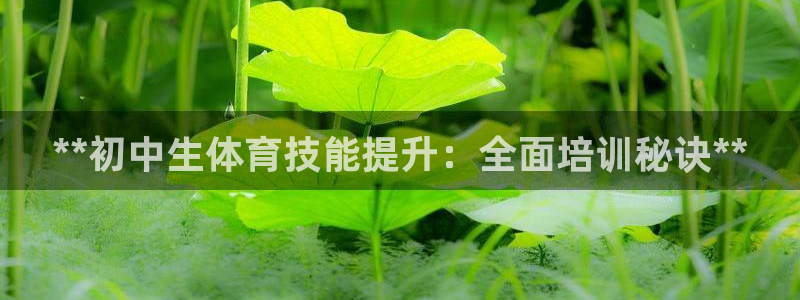 耀世娱乐挂机怎么玩：**初中生体育技能提升：全面培训
