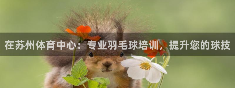 耀世天下的意思：在苏州体育中心：专业羽毛球培训，提升