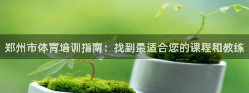 耀世微光简谱：郑州市体育培训指南：找到最适合您的课程