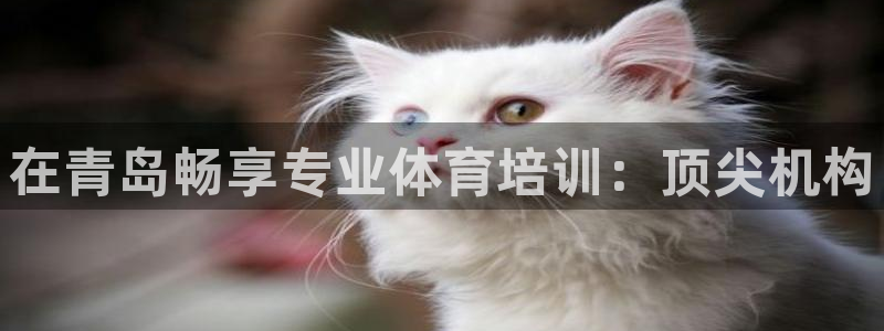 耀世幻主：在青岛畅享专业体育培训：顶尖机构
