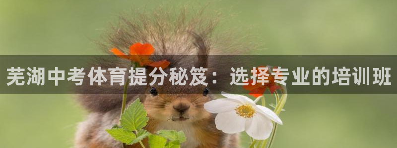 耀世娱乐是什么意思啊：芜湖中考体育提分秘笈：选择专业