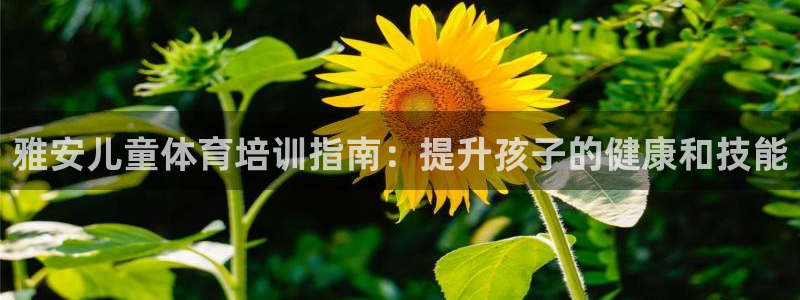 耀世集团是什么电影院：雅安儿童体育培训指南：提升孩子