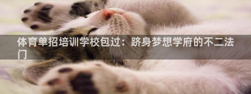耀世娱乐注册登陆：体育单招培训学校包过：跻身梦想学府