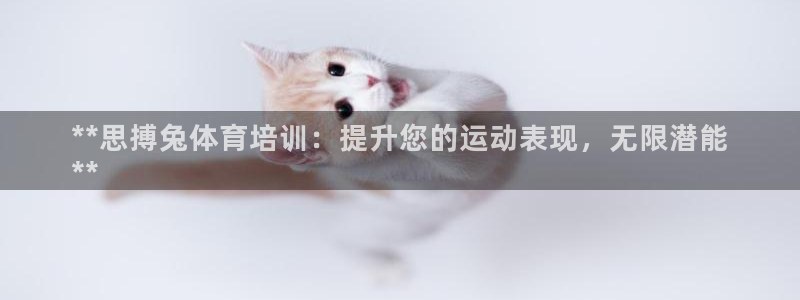 耀世娱乐佳 411O31 耀世：**思搏兔体育培训：
