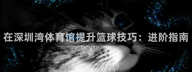 耀世娱乐是不是很黑暗：在深圳湾体育馆提升篮球技巧：进
