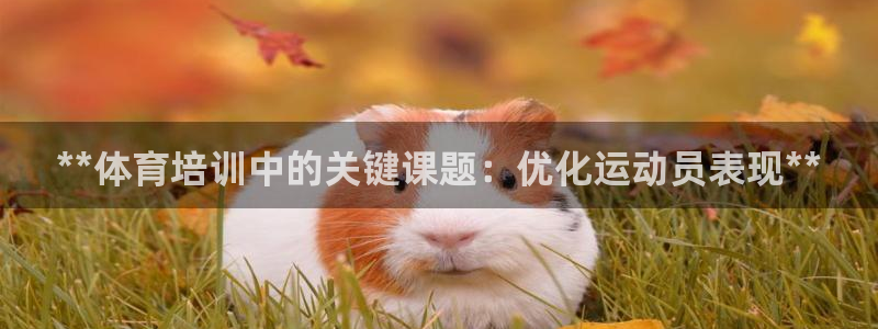 耀世平台是黑台子吗：**体育培训中的关键课题：优化运