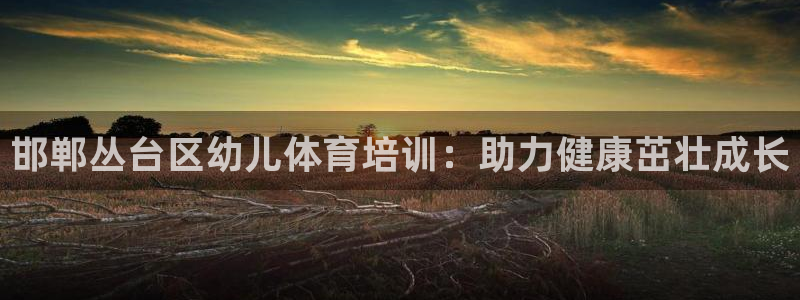 耀世天下图片大全：邯郸丛台区幼儿体育培训：助力健康茁
