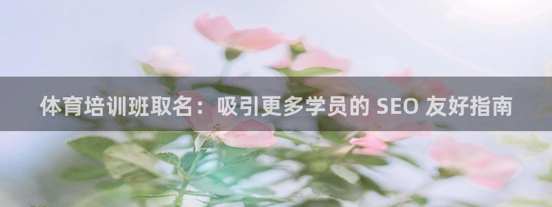 耀世娱乐价 411O31 耀世：体育培训班取名：吸引
