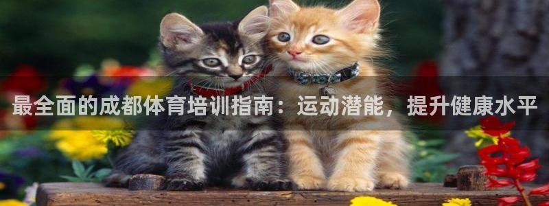 耀世娱乐下载最新版本安装包大全：最全面的成都体育培训