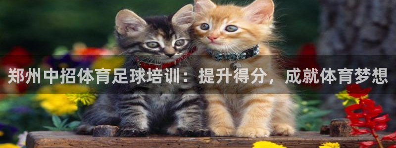耀世汽车：郑州中招体育足球培训：提升得分，成就体育梦