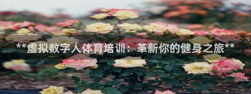 耀世平台合作 585341：**虚拟数字人体育培训：