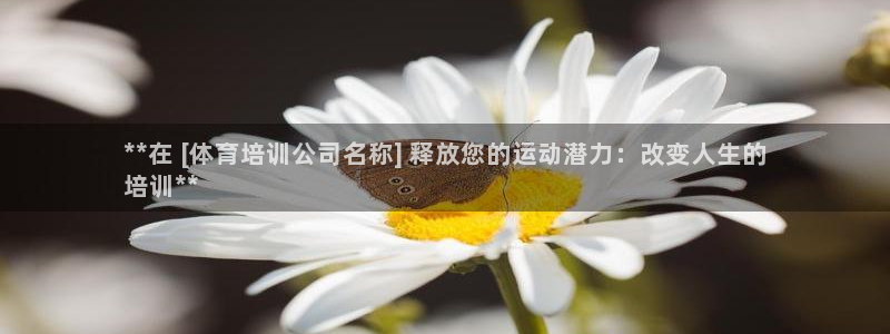 耀世娱乐是什么意思啊：**在 [体育培训公司名称] 