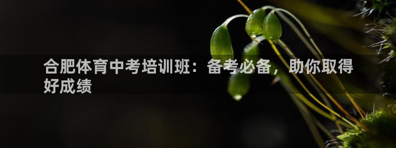 耀世娱乐腾讯分分彩代理联系方式：合肥体育中考培训班：