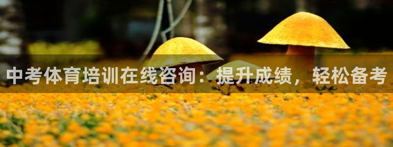 耀世平台注册：中考体育培训在线咨询：提升成绩，轻松备