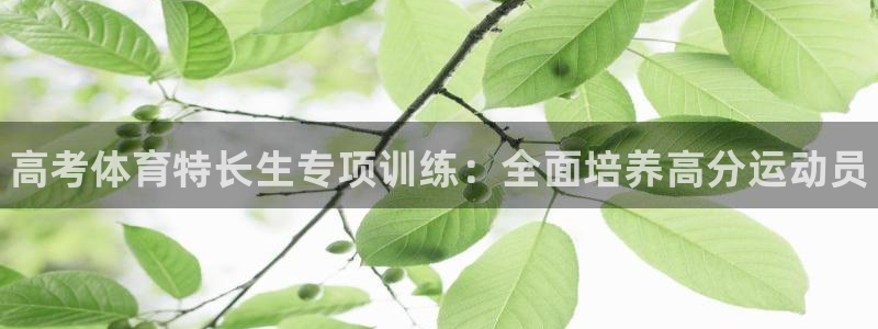 耀世娱乐赢咖6代理
