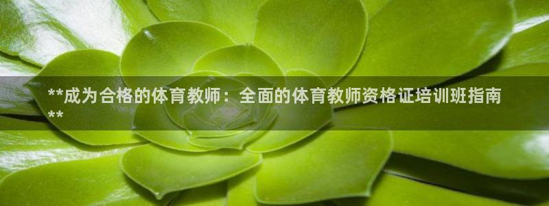 耀世娱乐app下载安装苹果：**成为合格的体育教师：全面的体