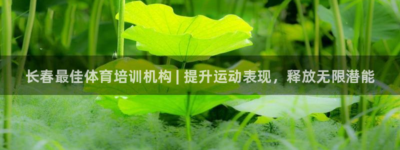 耀世平台下载