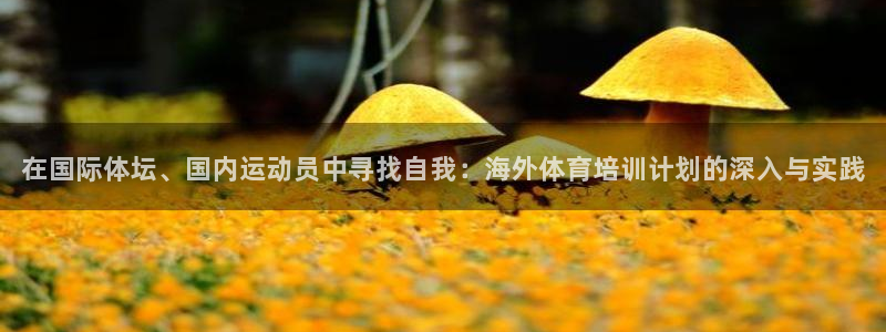 耀世娱乐网址是什么