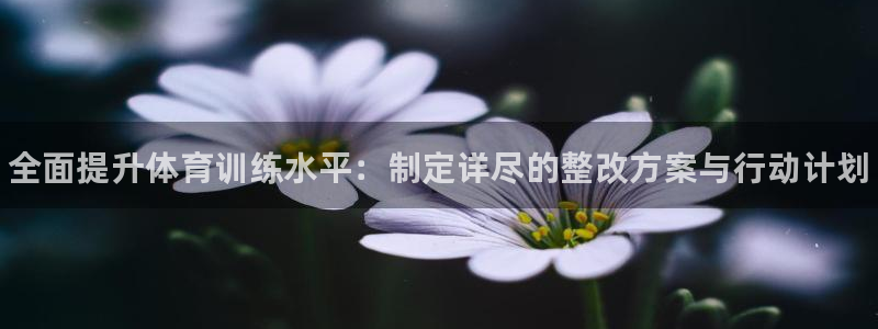 耀世娱乐app下载安装手机版：全面提升体育训练水平：