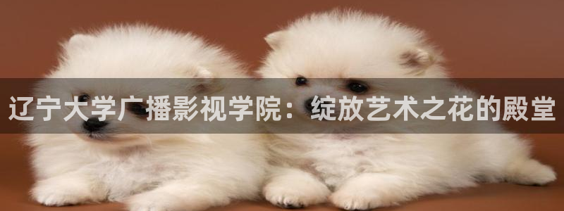 狼人杀类电影：辽宁大学广播影视学院：绽放艺术之花的殿堂